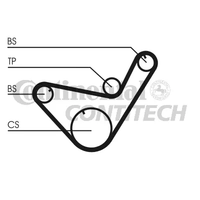 Timing Belt
