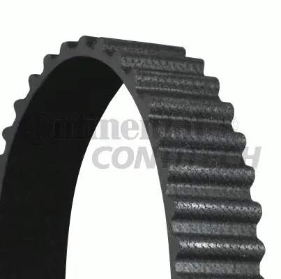 Timing Belt