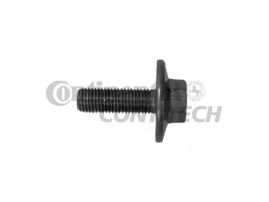 Screw (V41225)