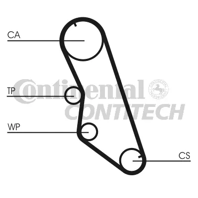 Timing Belt
