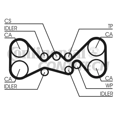 Timing Belt