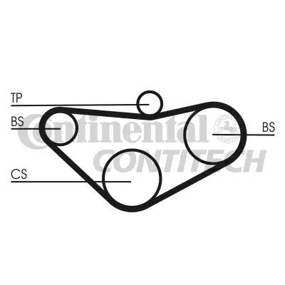 Timing Belt