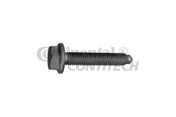 Screw (V41092)