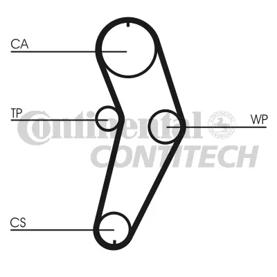Timing Belt