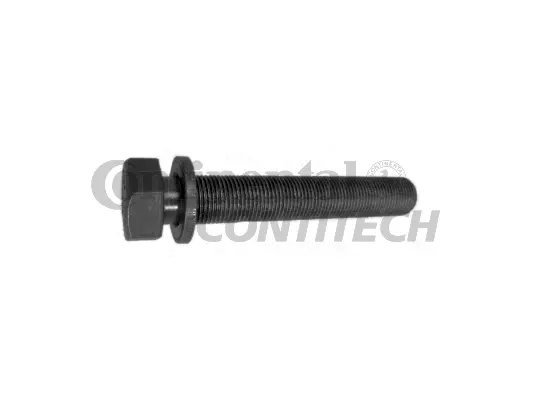 Screw (V41146)