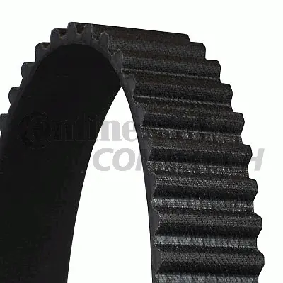 Timing Belt