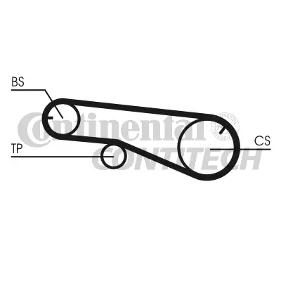 Timing Belt