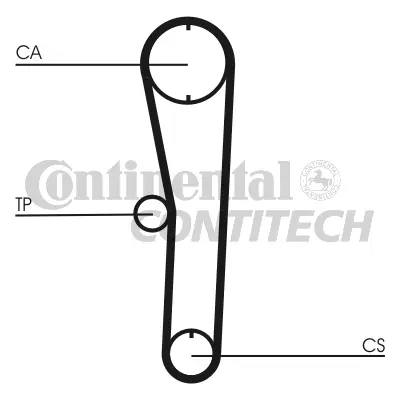 Timing Belt