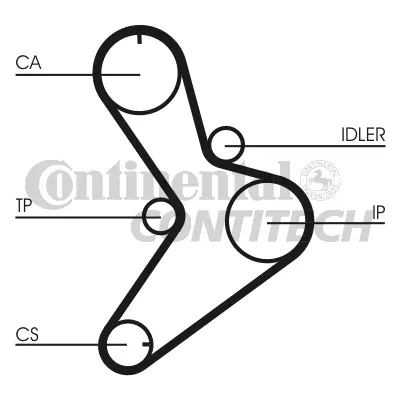 Timing Belt