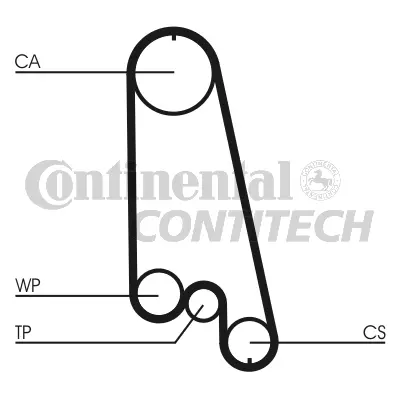 Timing Belt