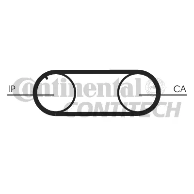 Timing Belt