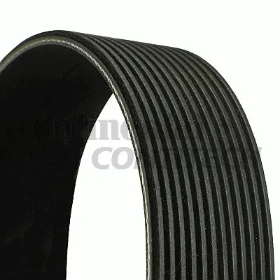 V-Ribbed Belt (12PK1830)