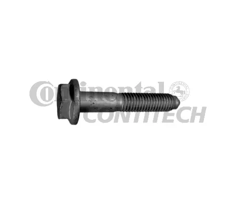 Screw (V41098)