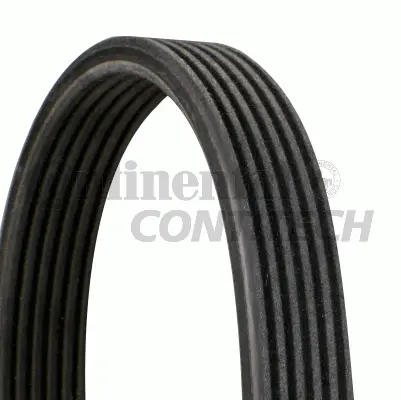 V-Ribbed Belt (6DPK1195)