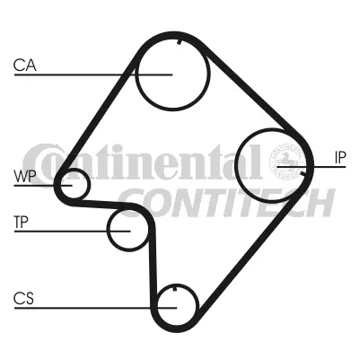 Timing Belt