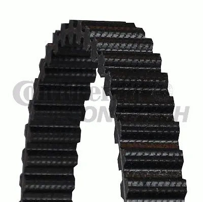 Timing Belt