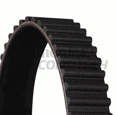 Timing Belt