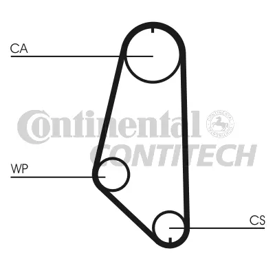 Timing Belt