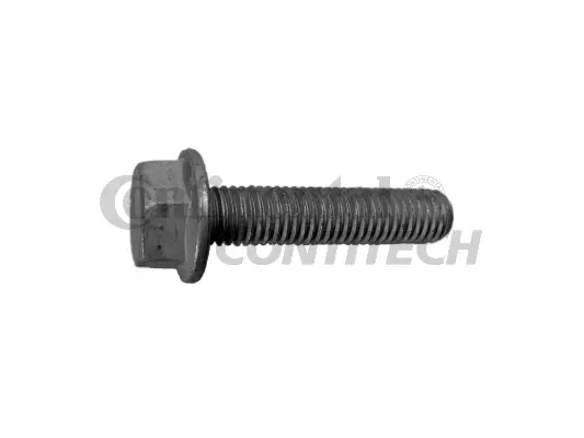 Screw (V41169)