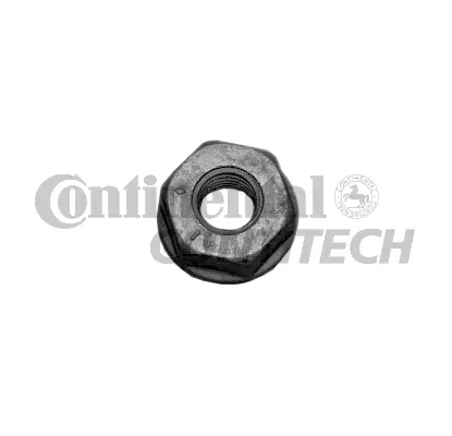 Nut (V31183)