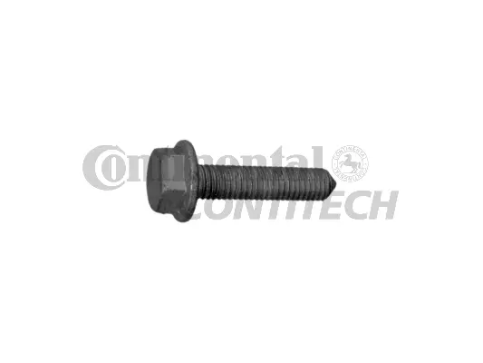 Screw (V41168)