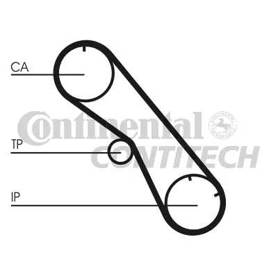 Timing Belt