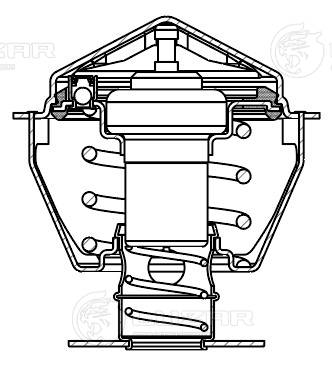 Thermostat, coolant
