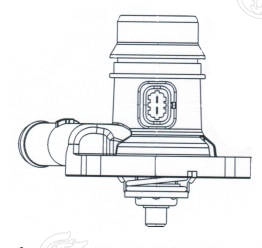 Thermostat, coolant