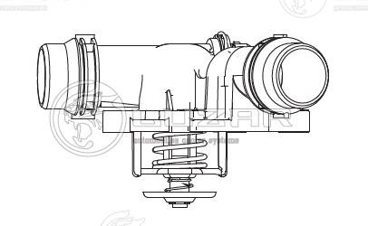 Thermostat, coolant