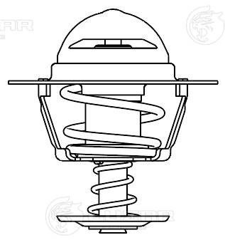 Thermostat, coolant