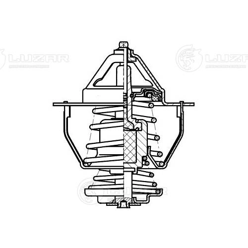 Thermostat, coolant