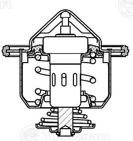 Thermostat, coolant