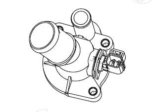 Thermostat, coolant