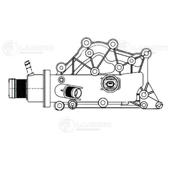 Thermostat, coolant