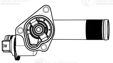 Thermostat, coolant