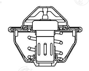 Thermostat, coolant