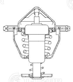 Thermostat, coolant