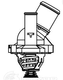 Thermostat, coolant