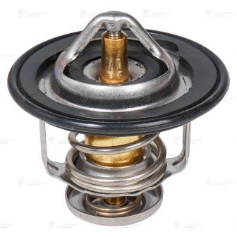 Thermostat, coolant (LT 1100)