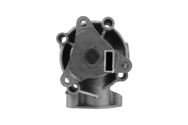 Water Pump, engine cooling (VKPC 82647)
