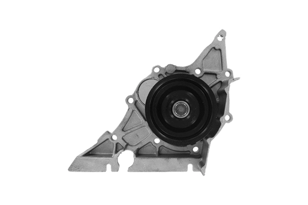 Water Pump, engine cooling (VKPC 81802)