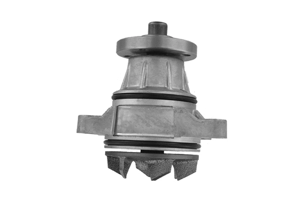 Water Pump, engine cooling (VKPC 96403)