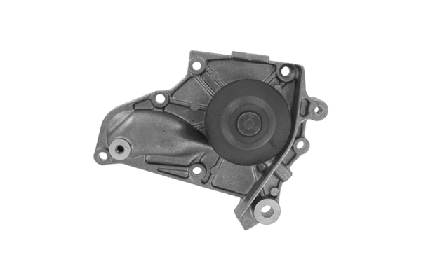 Water Pump, engine cooling (VKPC 91613)