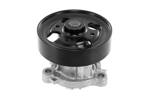 Water Pump, engine cooling (VKPC 92935)