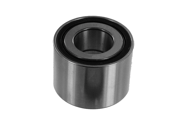 Wheel Bearing (BT2B 445539 CC)