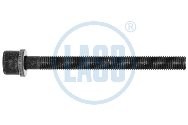 Cylinder Head Bolt (95017101)