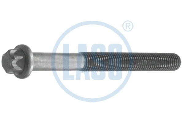 Cylinder Head Bolt (55017101)