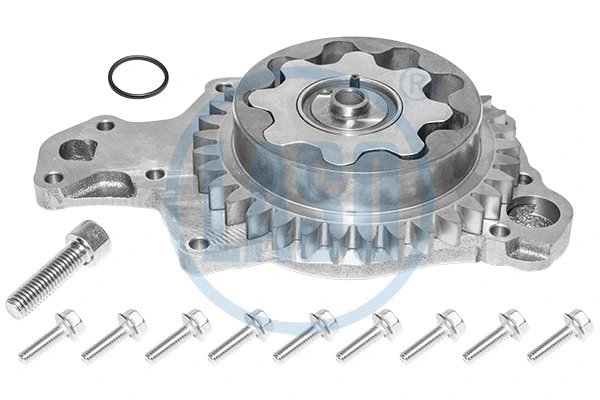 Rotor Set, oil pump (55581805)