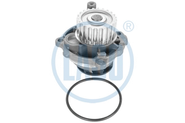 Water Pump, engine cooling (95200125)
