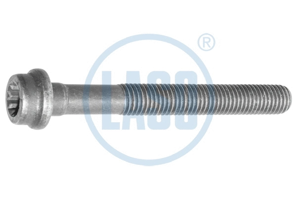 Cylinder Head Bolt (20017103)